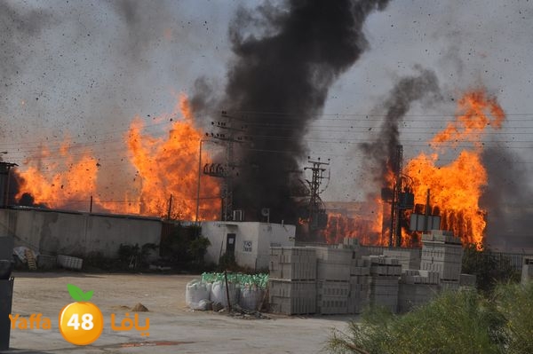 fireludkartoonmasna34 (9).JPG